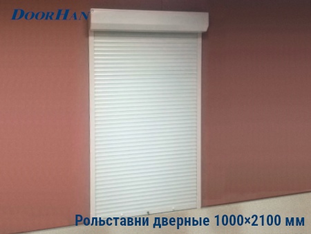 Рольставни на двери 1000×2100 мм в Кузнецке от 23895 руб.